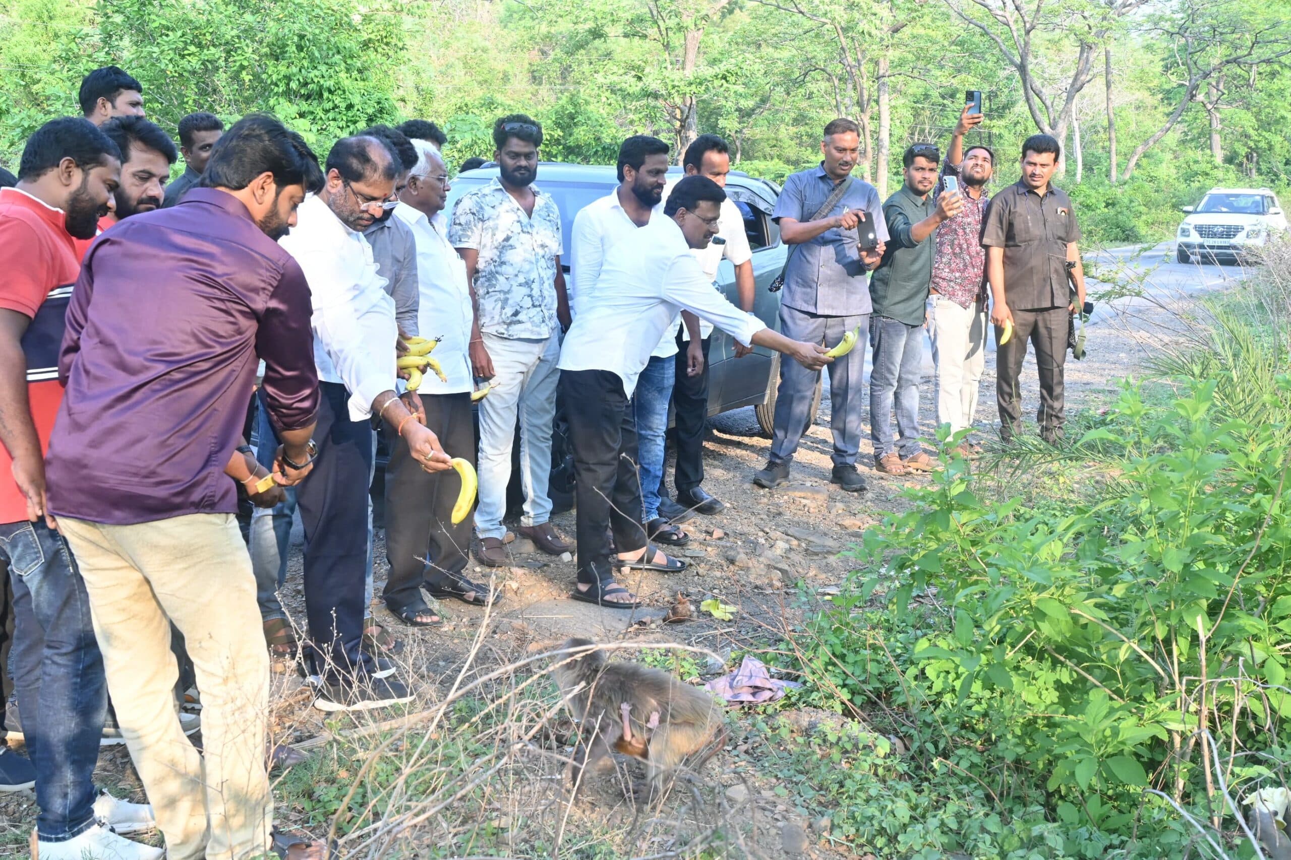 వానర సైన్యనానికి ఆహారం అందిస్తూ మానవత్వం చాటుతున్న ఎంపీ వద్దిరాజు రవిచంద్ర, తాత మధుసూదన్