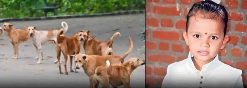 కుక్కల దాడిలో బాలుడు మృతి..