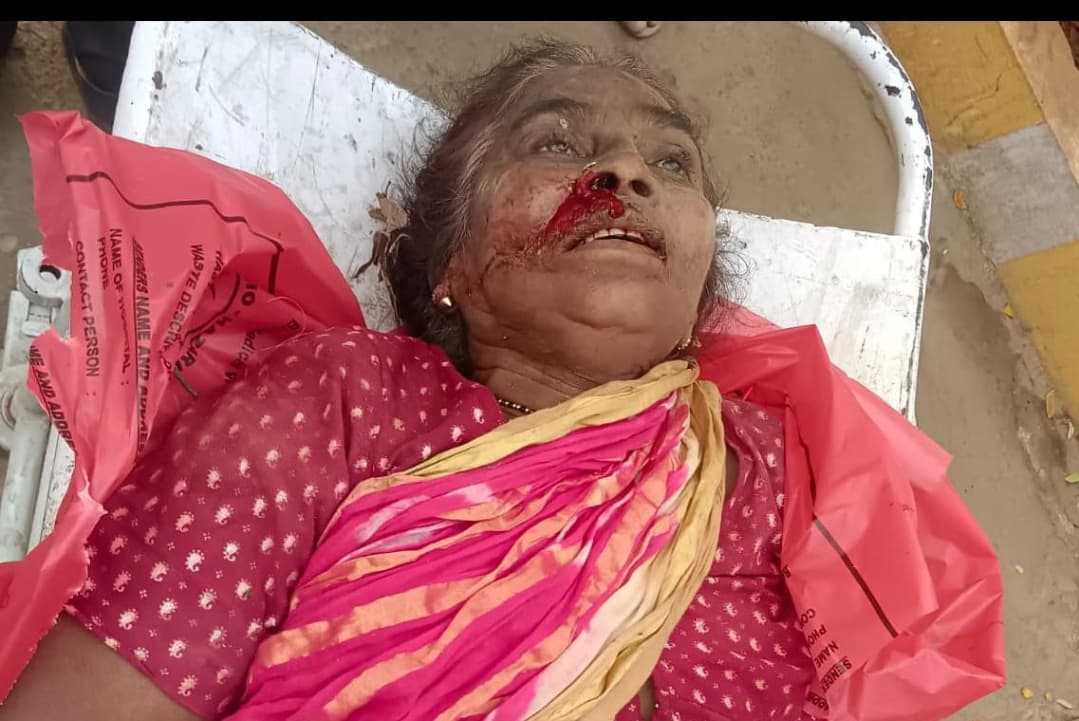 రహదారి వెంబడి ఆవుల పోట్లాటలో సింగరేణి ఆపరేటర్ తల్లి మృతి..