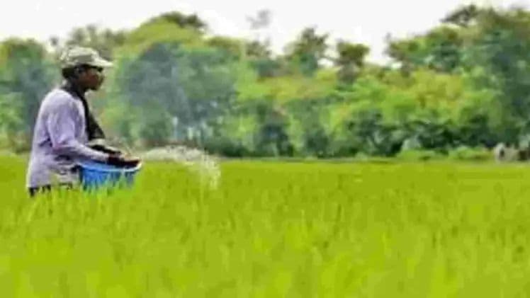 గతేడాది కంటే 18% ఎక్కువ యూరియా