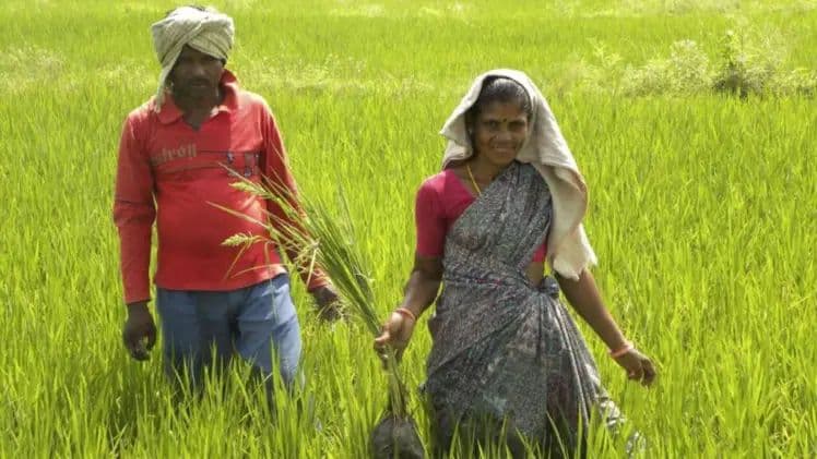 18 ఏళ్లు నిండిన రైతులకు ఛాన్స్..